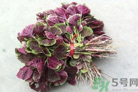 衣服上染上了莧菜汁怎么辦？衣服上的莧菜汁怎么洗掉？