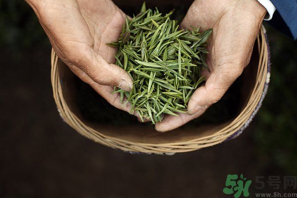 吃魚的時(shí)候能喝茶嗎？吃魚可以喝茶嗎？