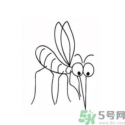 夏天家中有蒼蠅怎么辦？夏天如何滅蒼蠅？