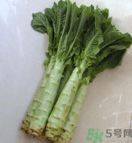 筍子是不是發(fā)物？筍子是發(fā)物嗎？