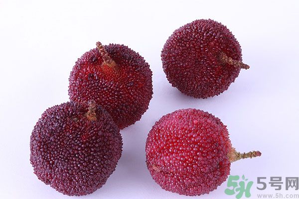 楊梅里面有小蟲怎么洗？楊梅里的蟲子怎么弄出來？