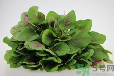 莧菜可以生吃嗎？莧菜生吃了會(huì)怎樣？