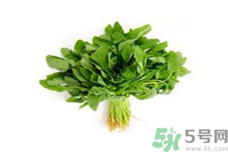 莧菜可以生吃嗎？莧菜生吃了會怎樣？