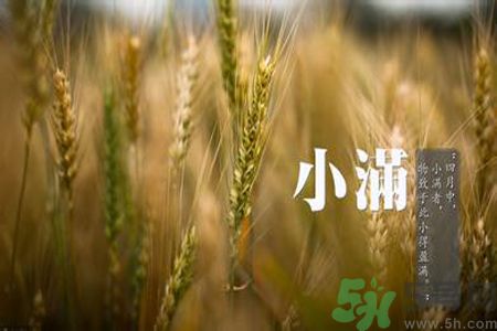 小滿名字的由來？小滿是什么意思？