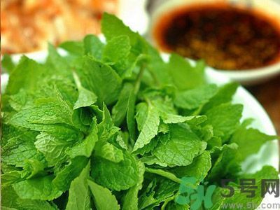 薄荷可以炒菜吃嗎？薄荷可以用來炒菜嗎？