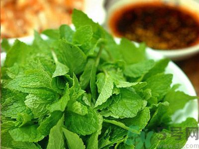 薄荷有什么功效？薄荷的攻效是什么？