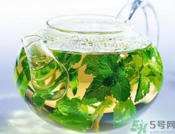 薄荷茶怎么泡好喝？薄荷茶的沖泡方法有哪些？