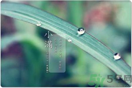 小滿容易得什么皮膚病？小滿得了皮膚病怎么辦？