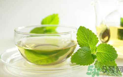  孕婦可以喝薄荷茶嗎？孕婦能喝薄荷泡的茶嗎？