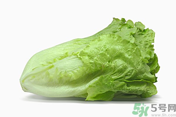 生菜在冰箱放久了能吃嗎？如何分辨生菜新不新鮮？