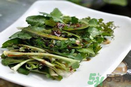 苦菜是酸性還是堿性？苦菜是堿性的嗎？