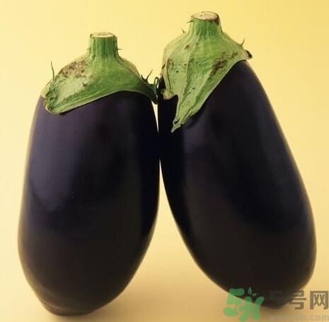 青皮茄子和紫皮茄子有什么區(qū)別？青皮茄子好還是紫皮茄子好？