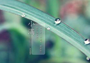 為什么小滿濕氣重？小滿怎么除濕氣？