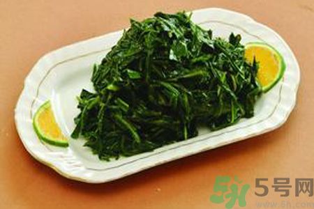 苦菜苦不苦？苦菜怎么做不苦？