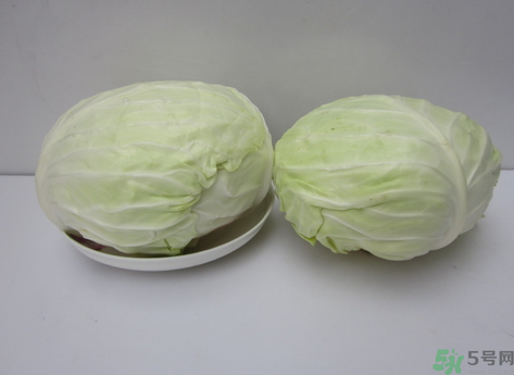 包菜榨汁要加水嗎？包菜汁怎么做？
