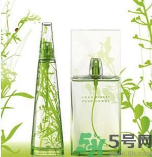 蚊子叮的包過幾天又癢是為什么？蚊子叮的包過幾天又癢怎么辦？
