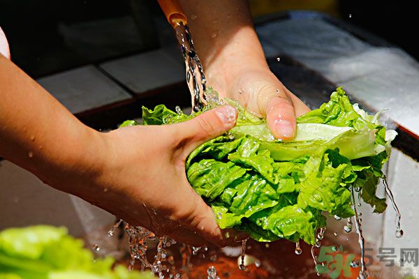 蔬菜怎么洗干凈？蔬菜怎么洗沒有寄生蟲？