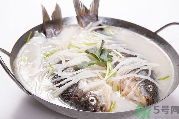 包菜能和魚一起吃嗎？魚可以和包菜一起吃嗎？