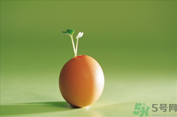 生菜和雞蛋能一起吃嗎？生菜和雞蛋一起怎么做？