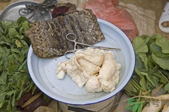 夏天吃蛇肉可以清火嗎？夏天吃蛇肉可以降火嗎？