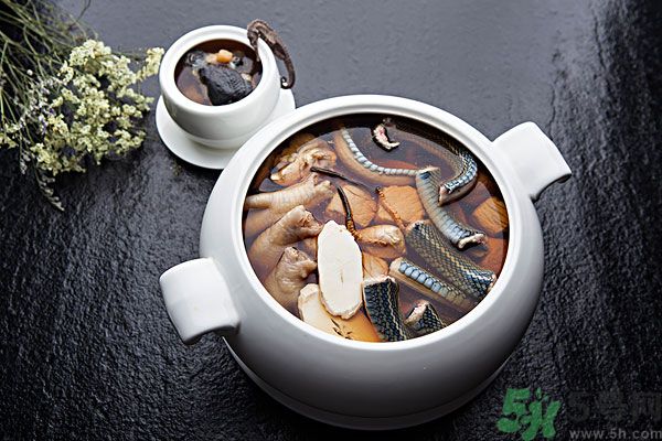 蛇肉是涼性嗎？蛇肉是涼性還是熱性？