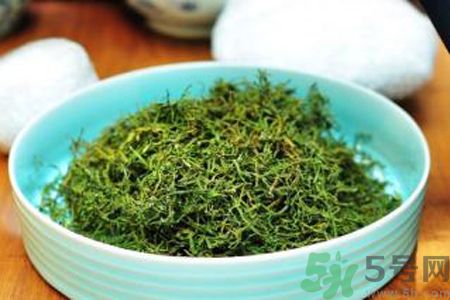 怎么挑選苦菜茶？挑選苦菜茶的技巧