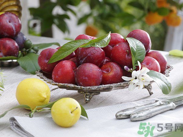 為什么說(shuō)李子樹(shù)下埋死人？李子的食用禁忌有哪些？