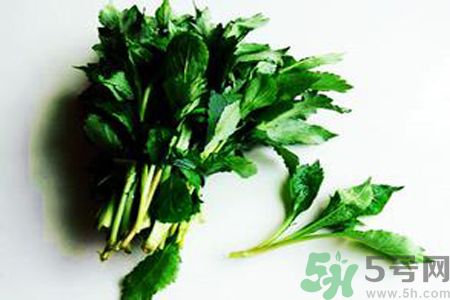 苦菜可以和蔥一起吃嗎？苦菜和蔥一起吃會怎樣？
