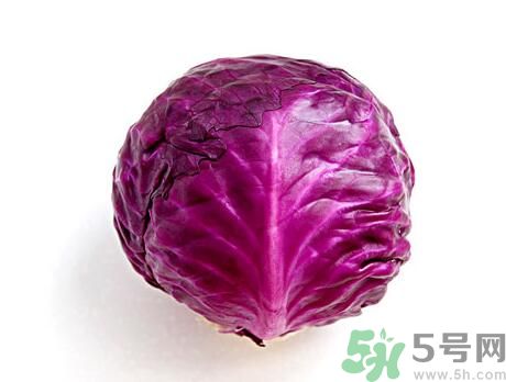 紫甘藍是發(fā)物嗎?紫甘藍是不是發(fā)物? 紫甘藍是發(fā)物嗎?紫甘藍是不是發(fā)物?