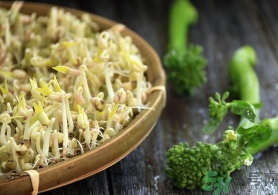 怎樣自己發(fā)綠豆芽？綠豆芽怎樣自己發(fā)？