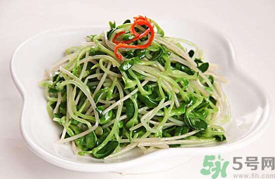 怎樣自己發(fā)綠豆芽？綠豆芽怎樣自己發(fā)？