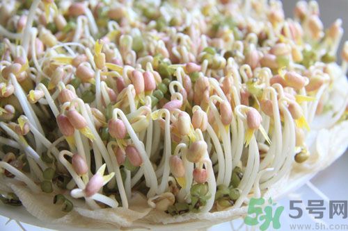 吃毛豆可以減肥嗎？吃毛豆有減肥作用嗎？