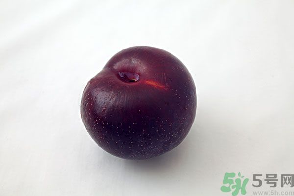 黑布林是李子嗎？黑布林的功效與作用