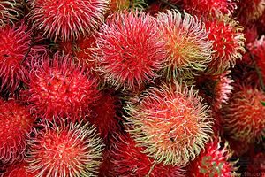吃紅毛丹上火嗎？吃紅毛丹上火怎么辦？