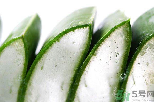孕婦可以吃蘆薈嗎？孕婦吃蘆薈會怎樣？