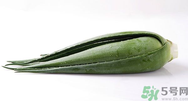 孕婦可以吃蘆薈嗎？孕婦吃蘆薈會(huì)怎樣？