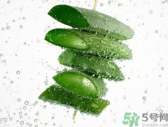 蘆薈怎么榨汁好喝？蘆薈可以榨汁嗎？