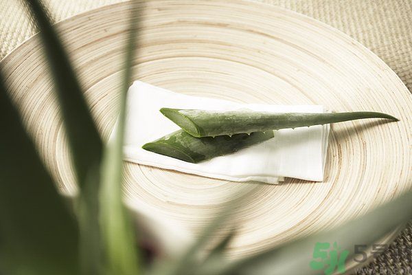 蘆薈是發(fā)物嗎？蘆薈是不是發(fā)物？