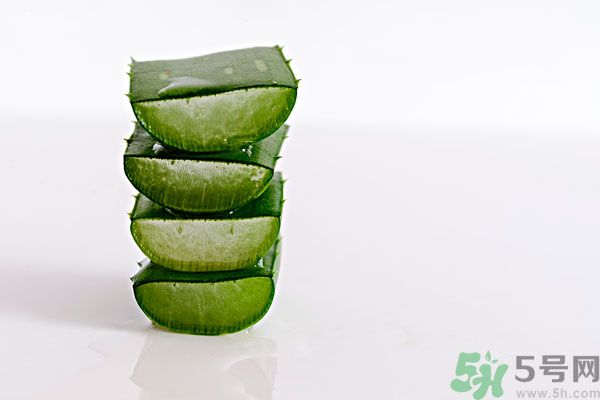 蘆薈是發(fā)物嗎？蘆薈是不是發(fā)物？