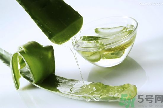 蘆薈酒有什么功效？蘆薈酒的功效是什么？