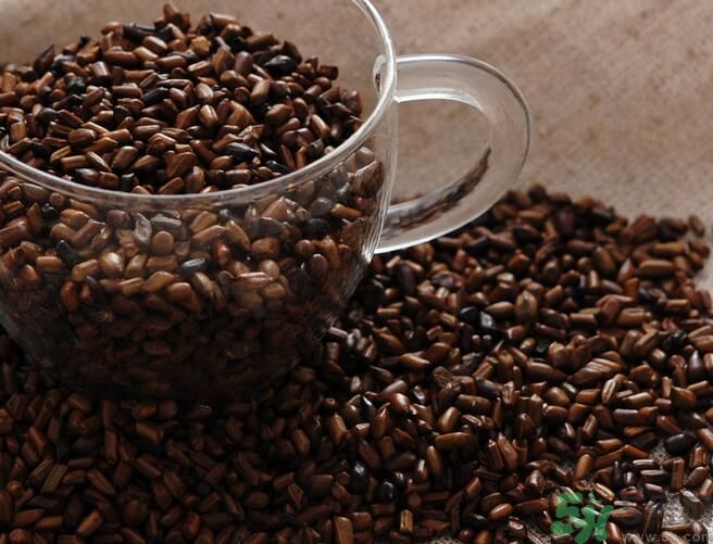 決明子泡茶喝可以減肥嗎？決明子泡茶喝有減肥效果嗎？