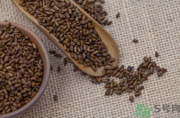 孕婦可以喝決明子茶通便嗎？孕婦通便可以喝決明子茶嗎？