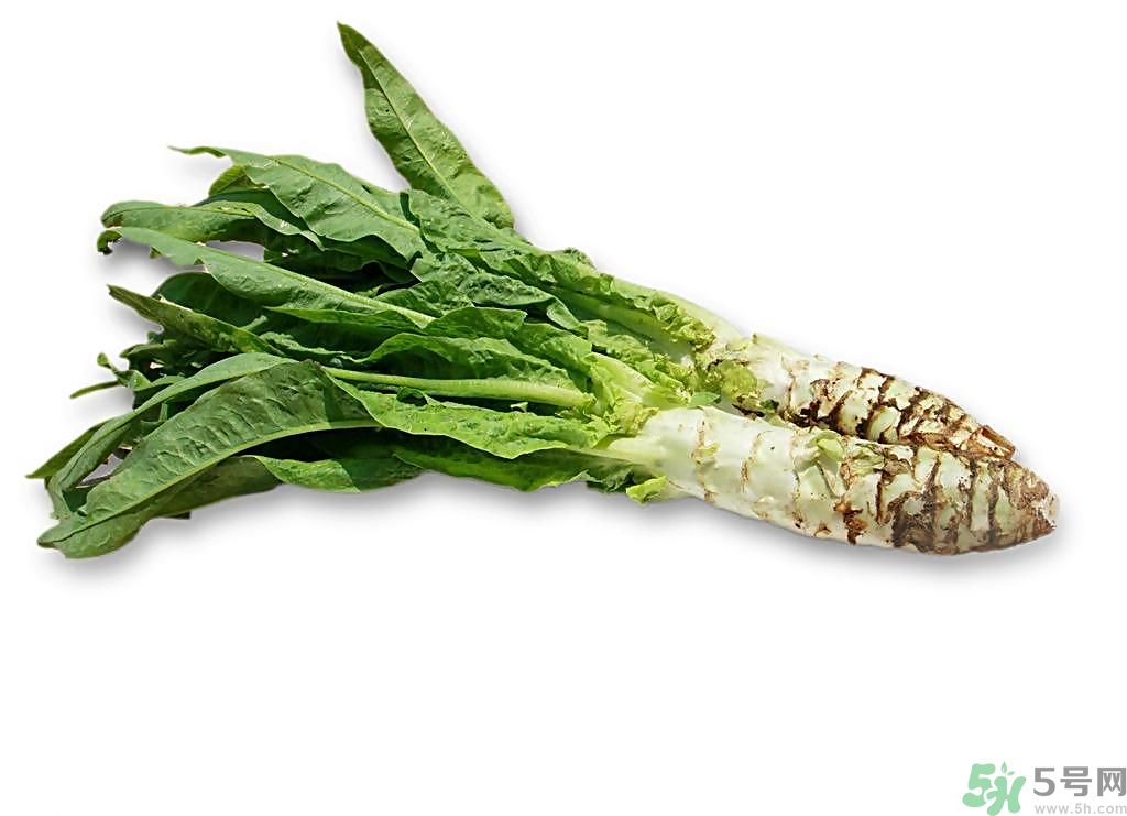 新鮮的萵筍怎么保存？削皮的萵筍怎么保存？