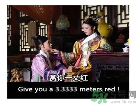 什么是蜀葵？蜀葵是一丈紅嗎？