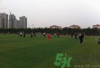 晚自習(xí)后跑步好嗎？下晚自習(xí)吃什么比較好？