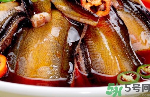鱔魚(yú)可以和雞湯一起吃嗎?鱔魚(yú)能和雞湯同吃嗎?