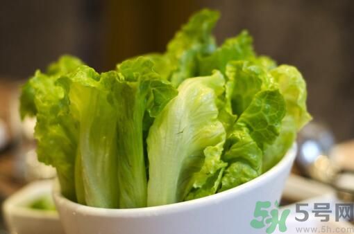 生菜會(huì)引起過敏嗎？吃生菜會(huì)過敏嗎？