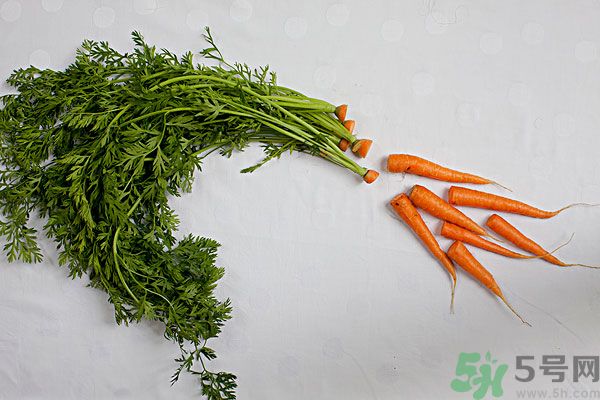 吃西瓜能防曬嗎？吃巧克力能紫外線嗎？