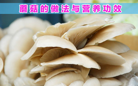 香菇要煮多久能熟 香菇要泡發(fā)多久