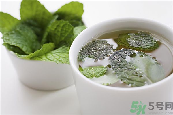 薄荷能美白嗎？薄荷的功效與作用